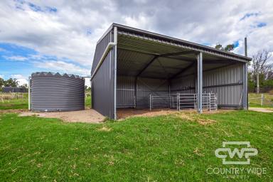 Lifestyle For Sale - NSW - Torrington - 2371 - "Elladale"  (Image 2)