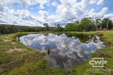 Lifestyle For Sale - NSW - Torrington - 2371 - "Elladale"  (Image 2)