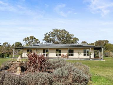 House For Sale - VIC - Cavendish - 3314 - Country living  (Image 2)