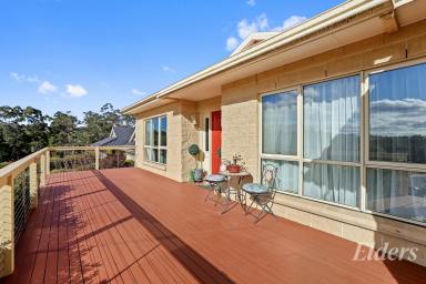 House For Sale - VIC - Drouin - 3818 - SOAK IN THE WINTER SUN in this QUALITY BUILT HOME  (Image 2)