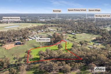 Residential Block For Sale - VIC - Ascot - 3551 - 1.24 Ha / 3.06 Ac Boutique Lifestyle Allotment  (Image 2)
