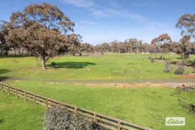 Residential Block For Sale - VIC - Ascot - 3551 - 1.24 Ha / 3.06 Ac Boutique Lifestyle Allotment  (Image 2)