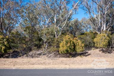 Residential Block For Sale - NSW - Emmaville - 2371 - Space to Build, Grow and Breathe  (Image 2)