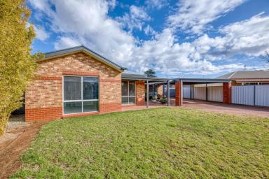 House For Sale - VIC - Mildura - 3500 - A Fully Renovated Family Gem – Move-In Ready  (Image 2)