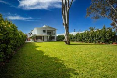 House Leased - NSW - Bogangar - 2488 - LEASED - IYKYK - Peace of Paradise in Prime Cabarita Beach.  (Image 2)