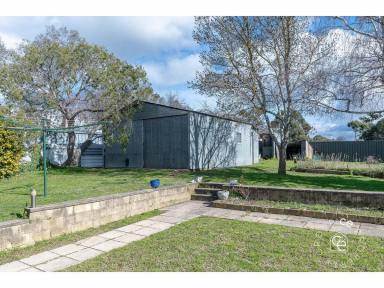 House For Sale - SA - Lobethal - 5241 - A Small Price, Big Opportunity!  (Image 2)
