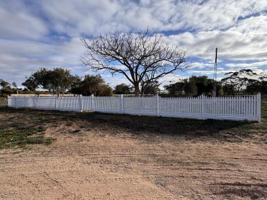 Residential Block For Sale - VIC - Nandaly - 3533 - Cheap 1/4 acre block!  (Image 2)
