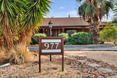 House For Sale - VIC - Mildura - 3500 - Family Home on approx. ½ acre  (Image 2)