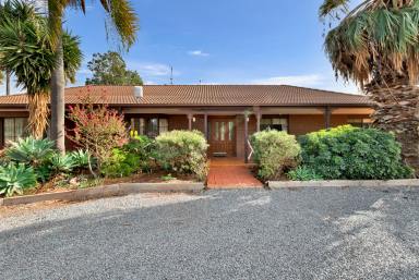House For Sale - VIC - Mildura - 3500 - Family Home on approx. ½ acre  (Image 2)