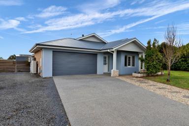 House For Sale - VIC - Mildura - 3500 - Family living at its Best  (Image 2)
