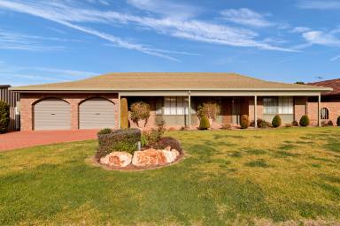 House For Sale - VIC - Mildura - 3500 - Centrally Located Mildura Gem - Ideal Investment or Family Home  (Image 2)