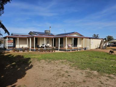 House For Sale - NSW - Coolamon - 2701 - 3 bedroom house on 1/2 acre block  (Image 2)