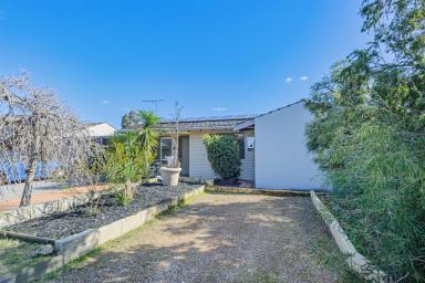 House For Sale - WA - Midland - 6056 - Charming Midland Gem Awaits You!  (Image 2)