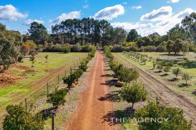 Acreage/Semi-rural For Sale - WA - Morangup - 6083 - "Stunning and Sustainable"  (Image 2)