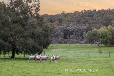 House For Sale - WA - Chidlow - 6556 - 'Serendipity Farm" - Stunning 14 Acre Rural Property In A Class Of Its Own  (Image 2)