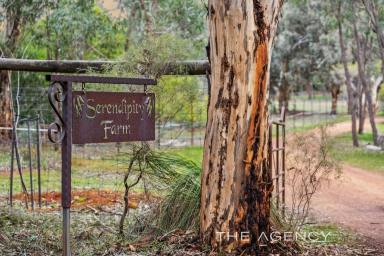 House For Sale - WA - Chidlow - 6556 - 'Serendipity Farm" - Stunning 14 Acre Rural Property In A Class Of Its Own  (Image 2)