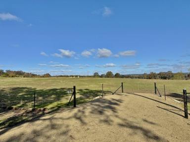 Residential Block For Sale - NSW - Young - 2594 - Premier Block - Ready To Build!  (Image 2)