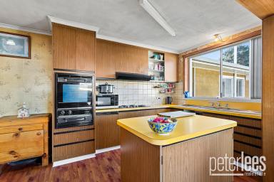 House For Sale - TAS - George Town - 7253 - Spacious Versatile Family Home on 12100 m2  (Image 2)