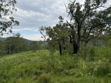 Residential Block For Sale - NSW - Caffreys Flat - 2424 - Your Private 60-Acre Playground by the River  (Image 2)