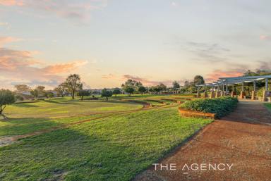 House For Sale - WA - Clarkson - 6030 - STUNNING HAMPTONS STYLE OPPOSITE PARKLAND  (Image 2)