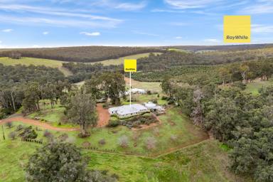 House For Sale - WA - Kangaroo Gully - 6255 - Exquisite Four Bedroom, Two Bathroom Home with Bonus Features  (Image 2)