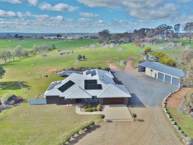 House For Sale - NSW - Young - 2594 - Great house, Pool, Shed & 12 Scenic Acres  (Image 2)
