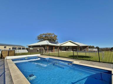 House For Sale - NSW - Young - 2594 - Great house, Pool, Shed & 12 Scenic Acres  (Image 2)