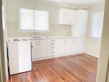 House For Lease - NSW - West Tamworth - 2340 - Newly Renovated Home  (Image 2)