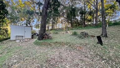Residential Block For Sale - QLD - Macleay Island - 4184 - Elevated, Private, and Immersed in Nature – With Glimpses of Moreton Bay  (Image 2)