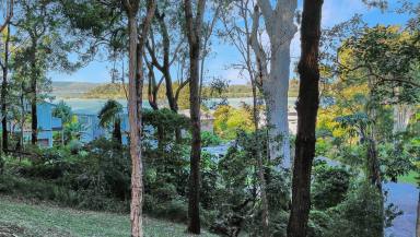 Residential Block For Sale - QLD - Macleay Island - 4184 - Elevated, Private, and Immersed in Nature – With Glimpses of Moreton Bay  (Image 2)