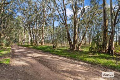 Acreage/Semi-rural For Sale - VIC - Briagolong - 3860 - THE BEST OF COUNTRY LIVING  (Image 2)