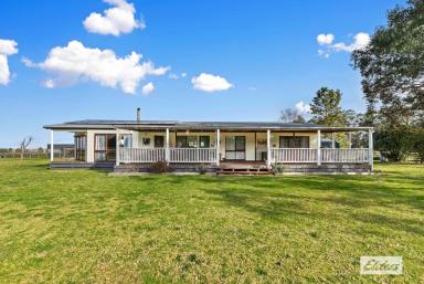 Acreage/Semi-rural For Sale - VIC - Briagolong - 3860 - THE BEST OF COUNTRY LIVING  (Image 2)