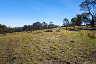 Residential Block For Sale - NSW - Bigga - 2583 - Prime Land Opportunity in Bigga  (Image 2)