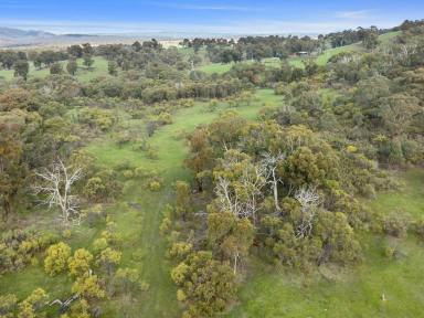 Lifestyle For Sale - VIC - Hilldene - 3660 - X MARKS THE SPOT IN HILLDENE  (Image 2)