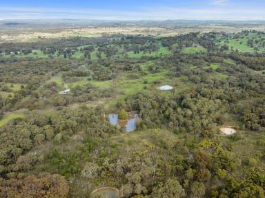 Lifestyle For Sale - VIC - Hilldene - 3660 - X MARKS THE SPOT IN HILLDENE  (Image 2)