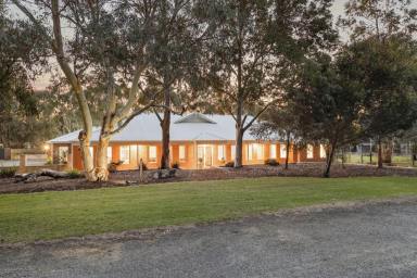 House For Sale - WA - Two Rocks - 6037 - In a word: Lifestyle  (Image 2)