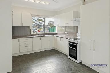 House For Lease - NSW - Dubbo - 2830 - Four-Bedroom Home with Studio in Central South Dubbo  (Image 2)