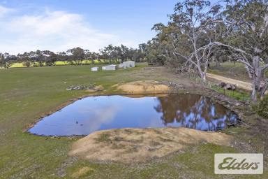 Other (Rural) For Sale - VIC - Lamplough - 3352 - Fully Established Rural Property Just Minutes from Avoca  (Image 2)