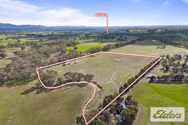 Other (Rural) For Sale - VIC - Lamplough - 3352 - Fully Established Rural Property Just Minutes from Avoca  (Image 2)