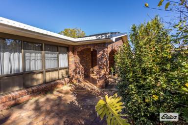 House For Sale - QLD - Gatton - 4343 - This property packs a punch!  (Image 2)