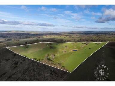 Lifestyle For Sale - SA - Eden Valley - 5235 - Beautiful country in which to create a chosen lifestyle  (Image 2)