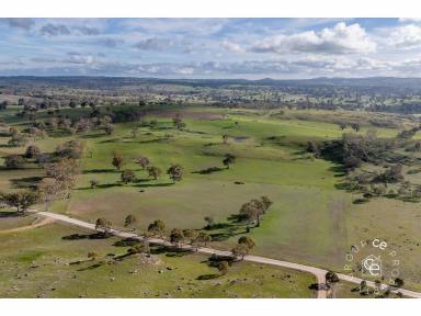 Lifestyle For Sale - SA - Eden Valley - 5235 - Beautiful country in which to create a chosen lifestyle  (Image 2)