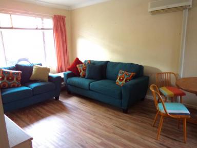 Unit For Lease - NSW - Tumut - 2720 - 2 bedroom furnished  unit Close to CBD  (Image 2)