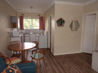 Unit For Lease - NSW - Tumut - 2720 - 2 bedroom furnished  unit Close to CBD  (Image 2)