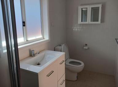 House For Lease - NSW - St Clair - 2759 - 4 Bedroom two way bathroom ( Teenager or Grandparents with ensuite ) (Image 2)