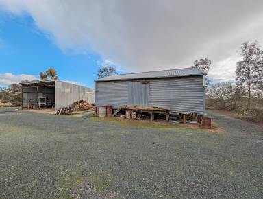 House For Sale - VIC - Lalbert - 3542 - Quiet Rural Environment – Spacious Home on Large Allotment  (Image 2)