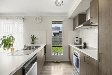 House For Sale - QLD - Cotswold Hills - 4350 - Modern Comfort in a Family-Friendly Location  (Image 2)