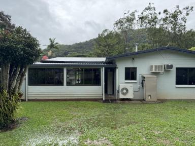 House For Lease - QLD - Brinsmead - 4870 - Large Fenced Yard with a single roller door powered shed  (Image 2)