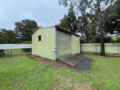 House For Lease - QLD - Brinsmead - 4870 - Large Fenced Yard with a single roller door powered shed  (Image 2)