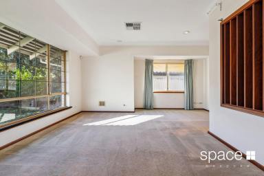 House For Lease - WA - Mount Pleasant - 6153 - FINDING COMFORT IN MT PLEASANT  (Image 2)